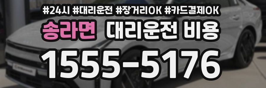 송라면 대리운전 비용