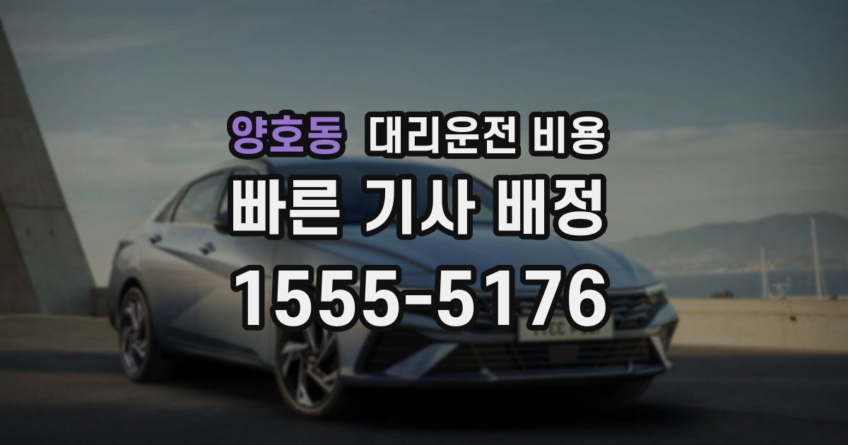 양호동 대리운전 가격