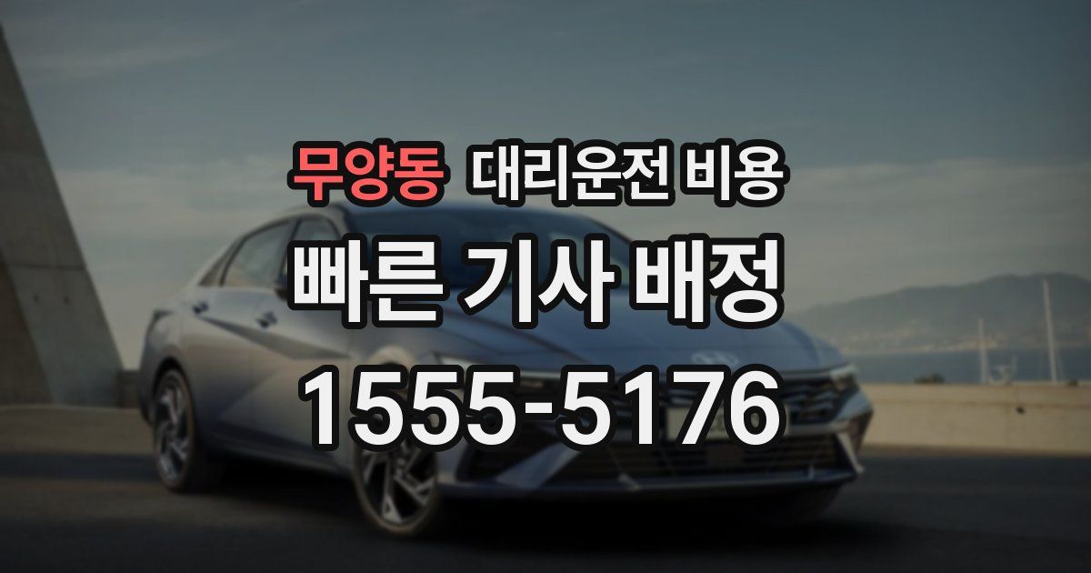 무양동 대리운전 가격