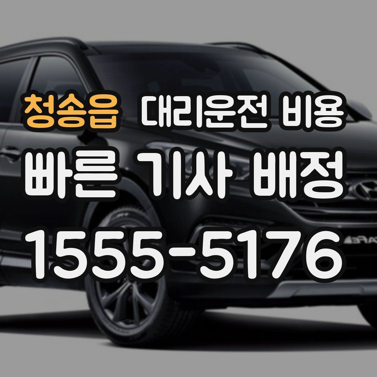 청송읍 대리운전