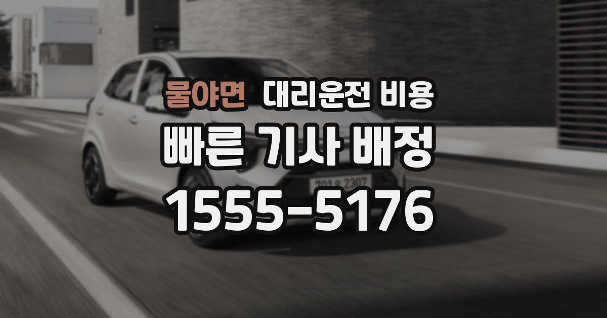 물야면 대리운전 가격