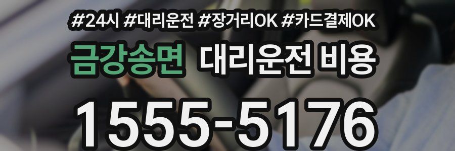 금강송면 대리운전 비용