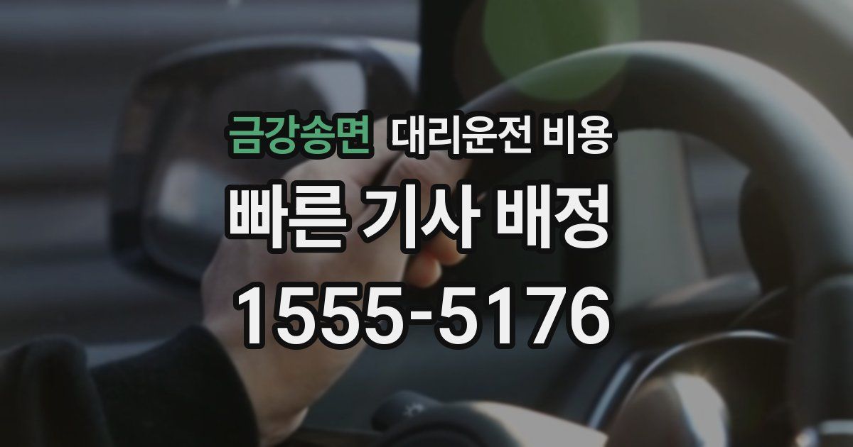 금강송면 대리운전 가격