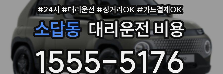 소답동 대리운전 비용