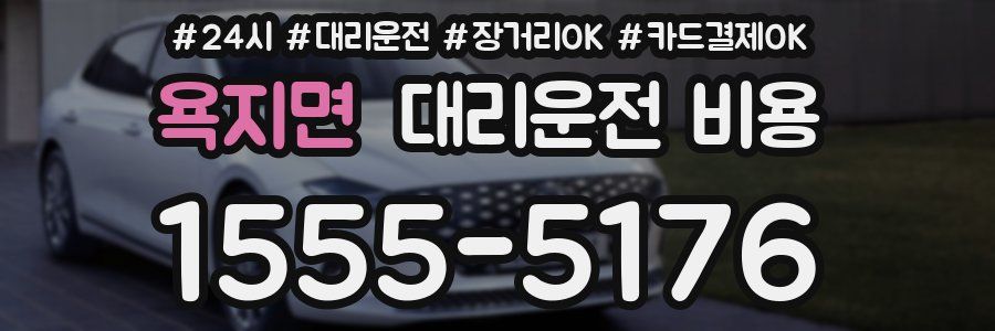 욕지면 대리운전 비용