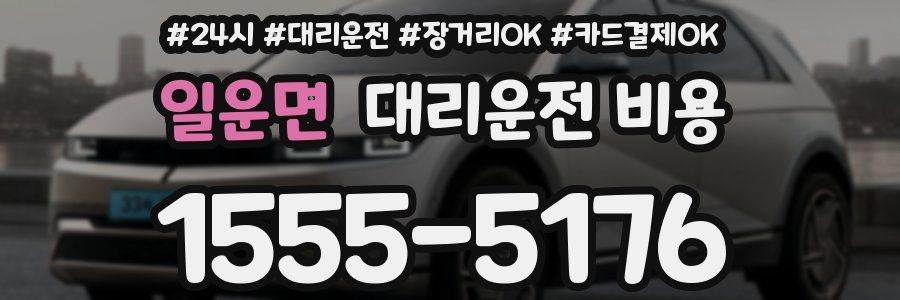 일운면 대리운전 비용