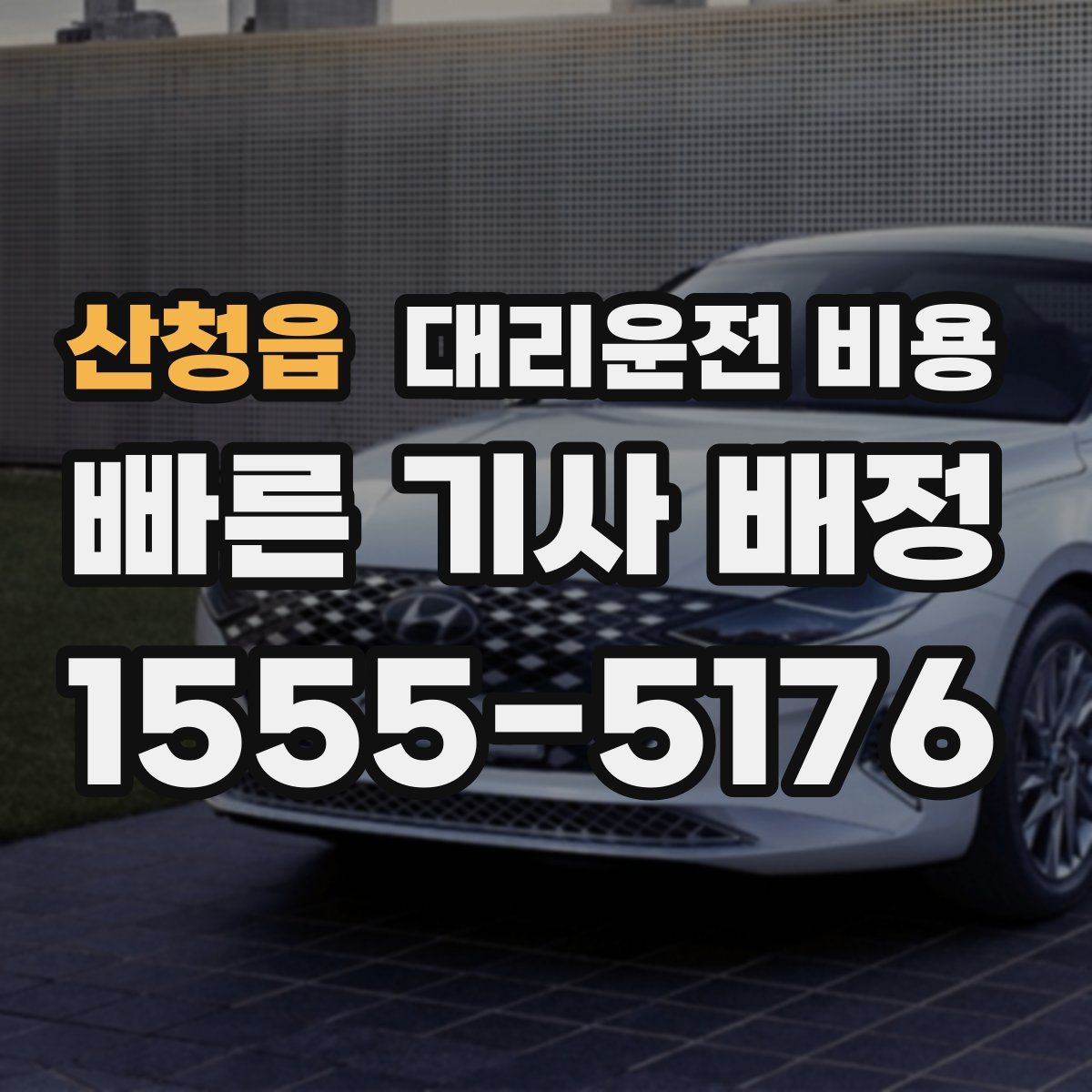 산청읍 대리운전