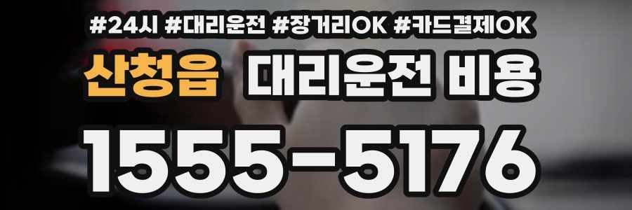 산청읍 대리운전 비용