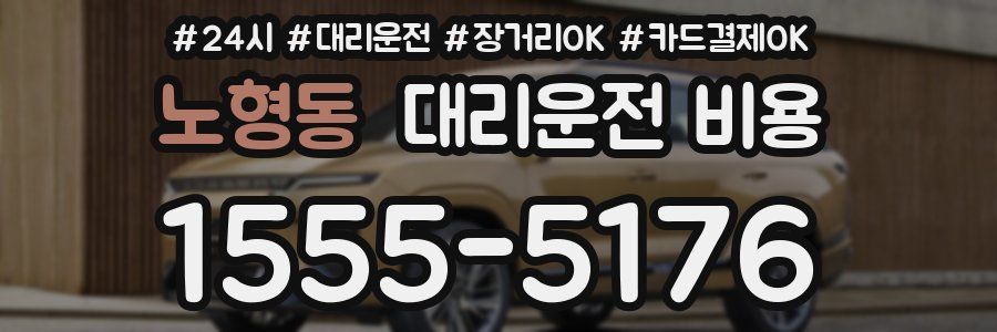 노형동 대리운전 비용