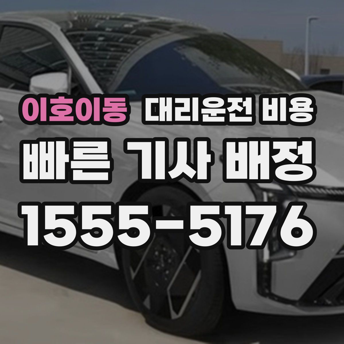 이호이동 대리운전