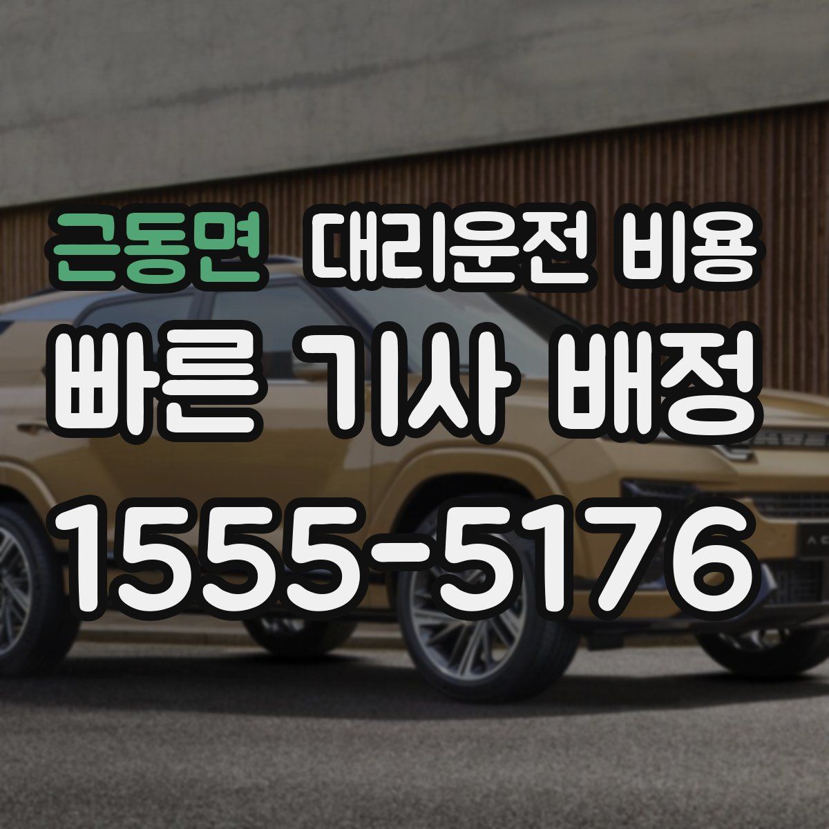 근동면 대리운전