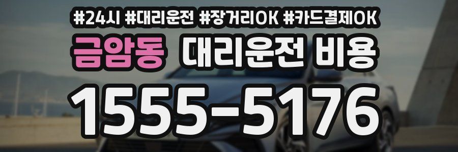 금암동 대리운전 비용