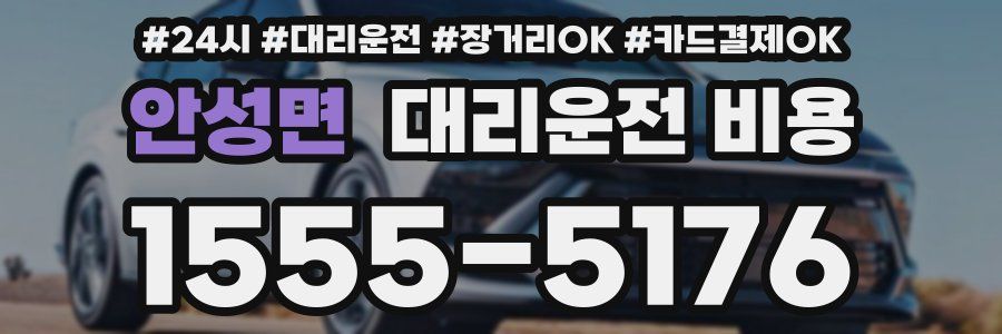 안성면 대리운전 비용
