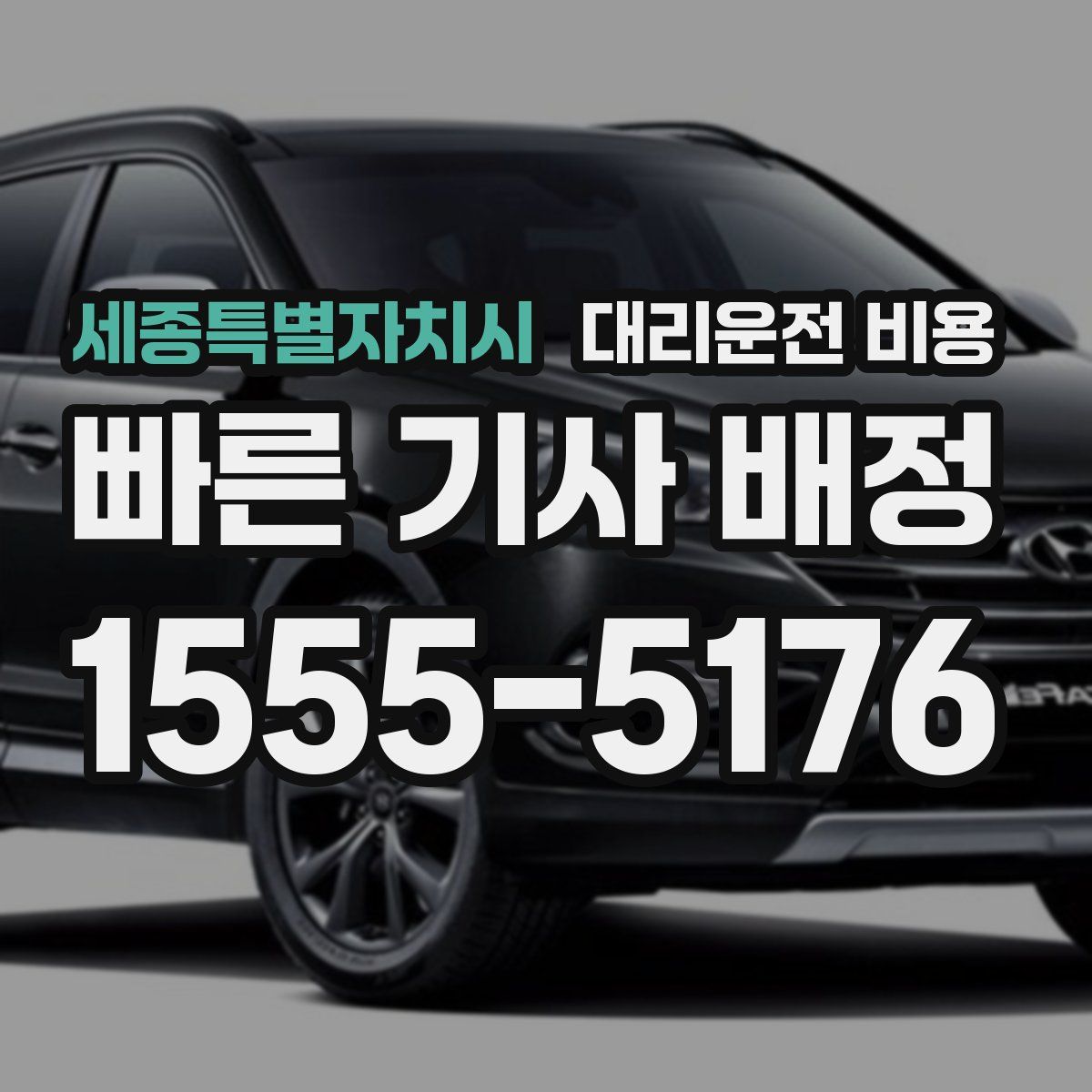 세종특별자치시 대리운전