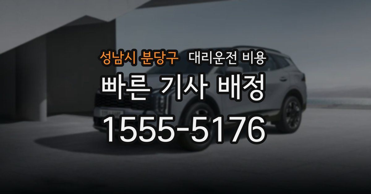 성남시 분당구 대리운전 가격