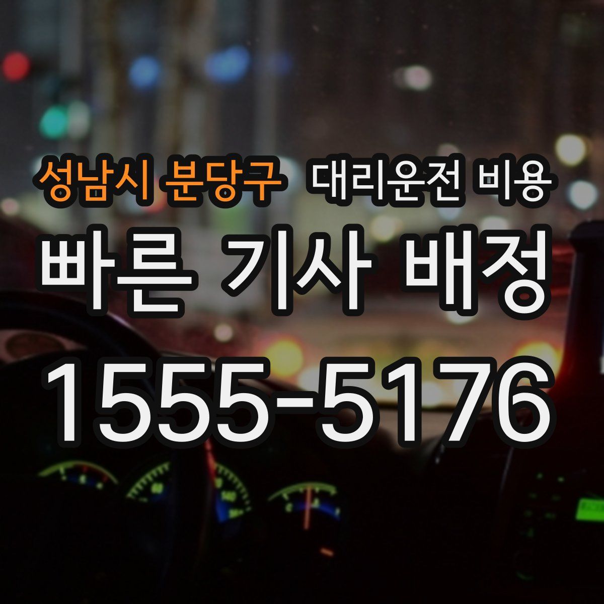 성남시 분당구 대리운전