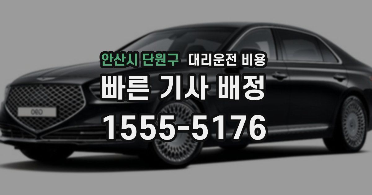 안산시 단원구 대리운전 가격