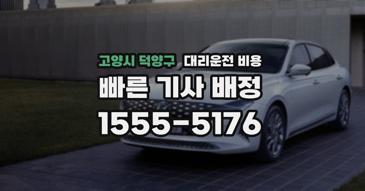 고양시 덕양구 대리운전 가격