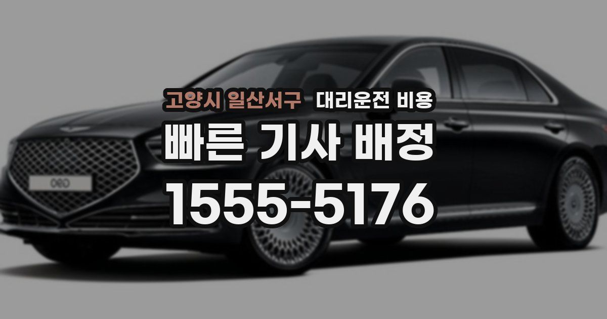 고양시 일산서구 대리운전 가격