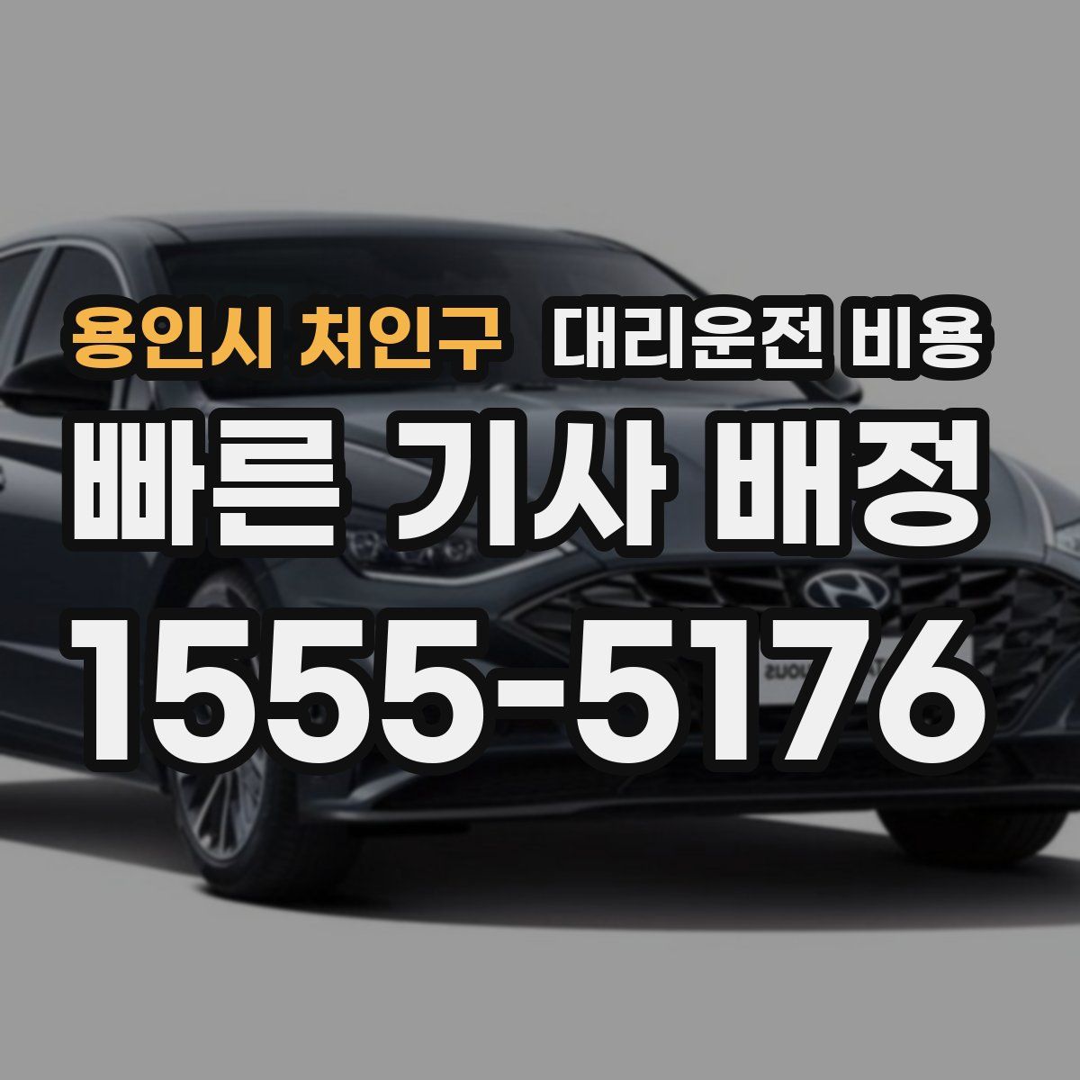 용인시 처인구 대리운전