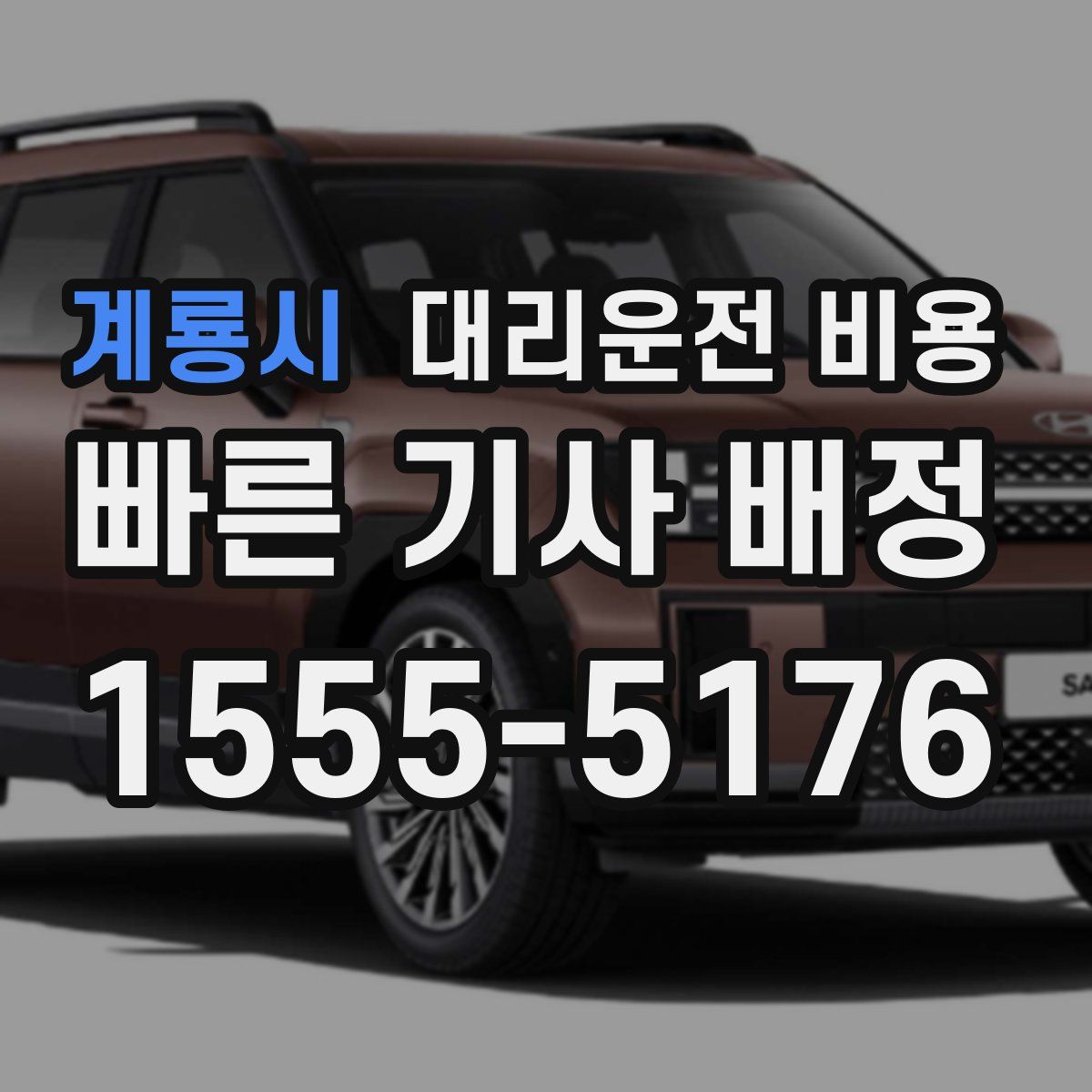 계룡시 대리운전