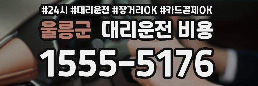 울릉군 대리운전 비용