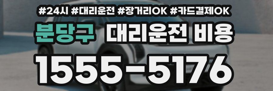 분당구 대리운전 비용