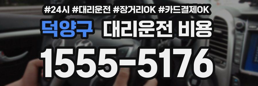 덕양구 대리운전 비용