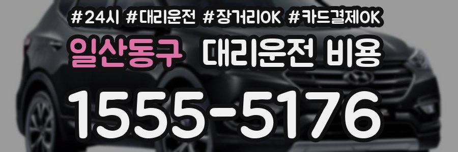 일산동구 대리운전 비용