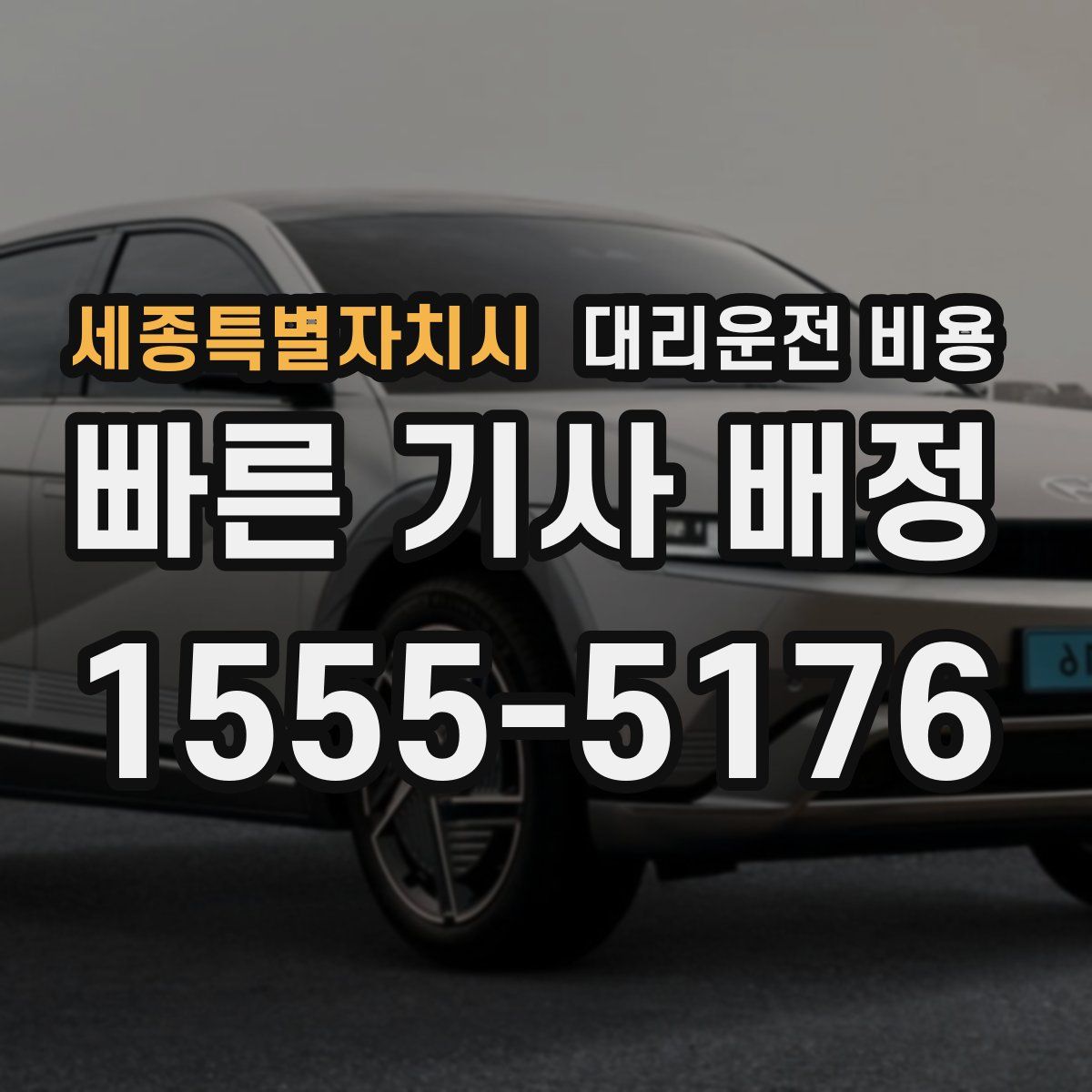 세종특별자치시 대리운전