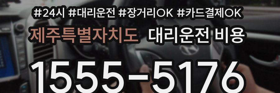 제주특별자치도 대리운전 비용