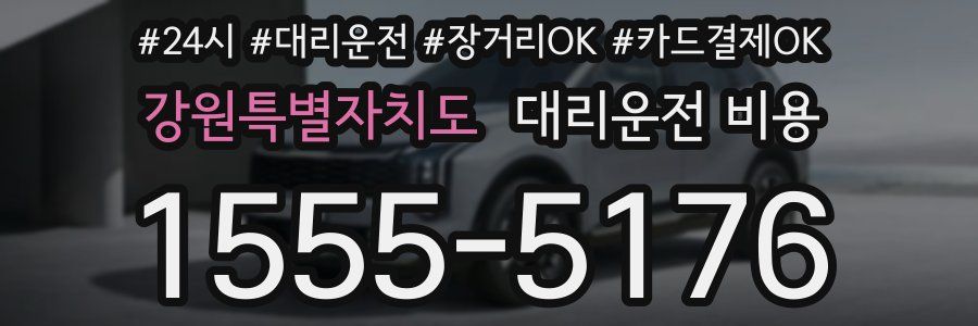 강원특별자치도 대리운전 비용