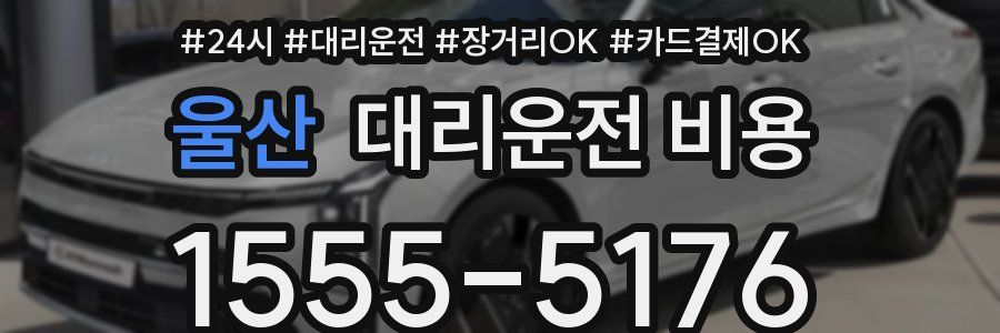 울산 대리운전 비용