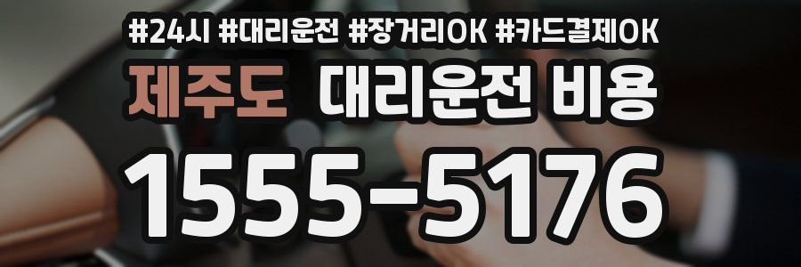 제주도 대리운전 비용