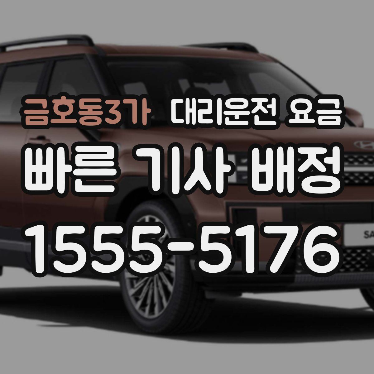 금호동3가 대리운전