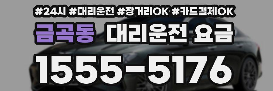 금곡동 대리운전 요금