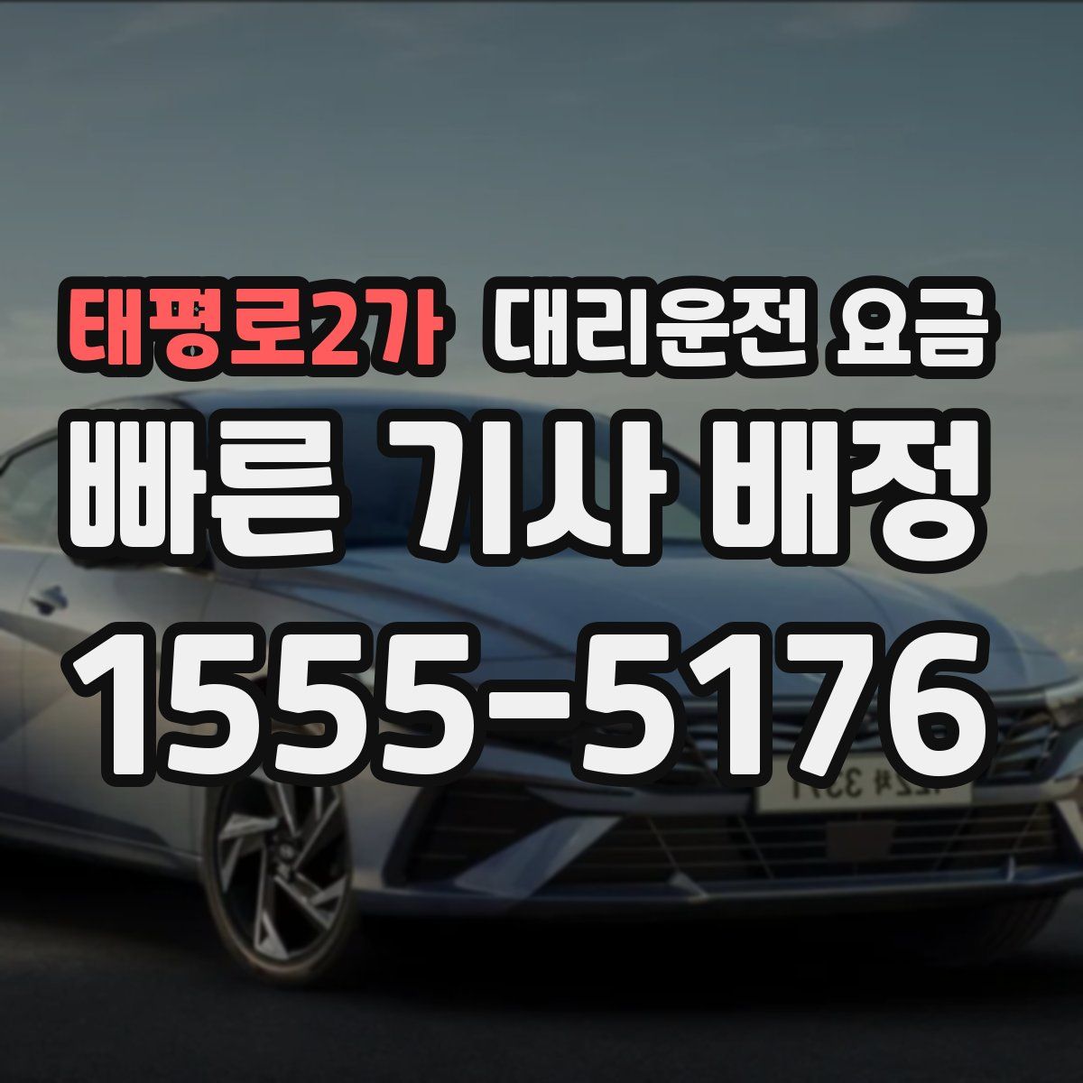 태평로2가 대리운전