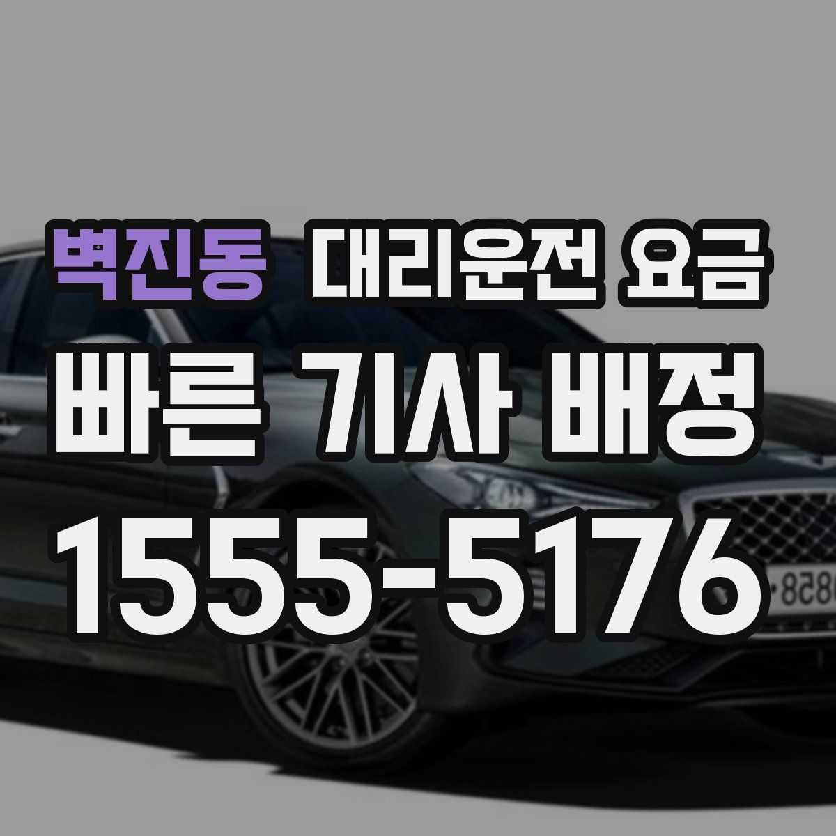 벽진동 대리운전