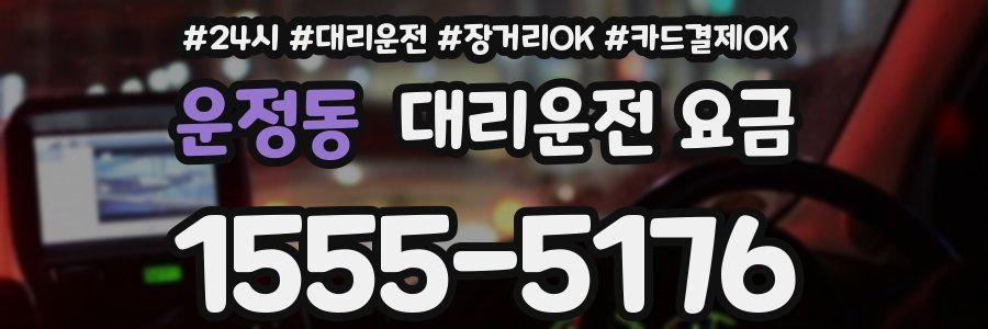 운정동 대리운전 요금