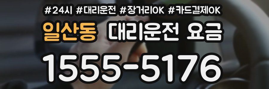 일산동 대리운전 요금