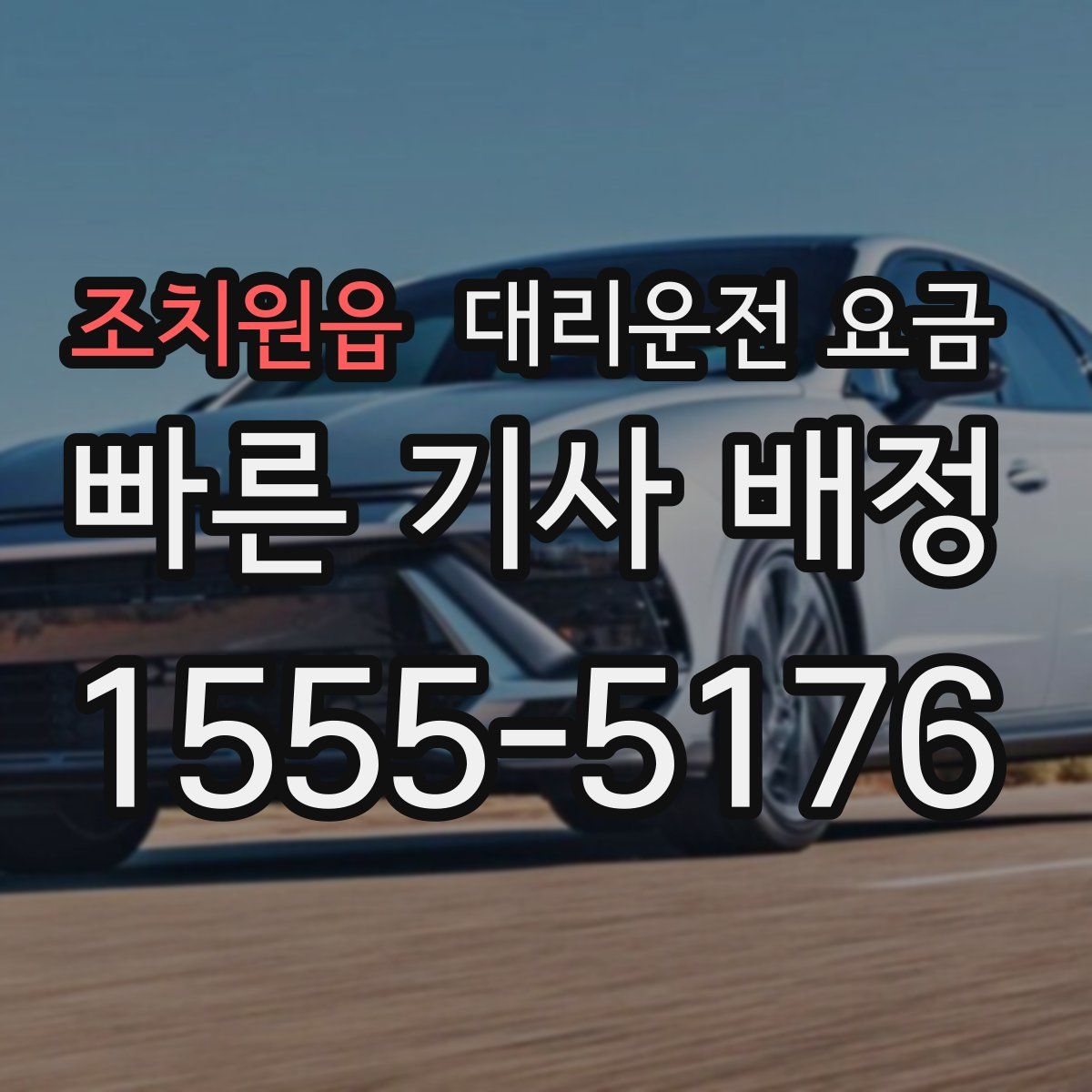 조치원읍 대리운전