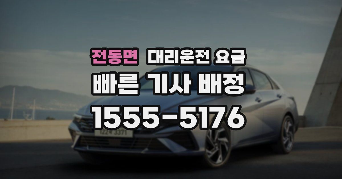 전동면 대리운전 가격