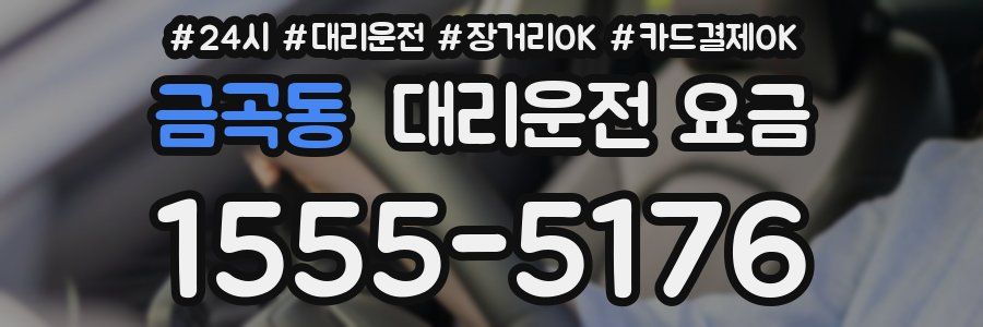 금곡동 대리운전 요금