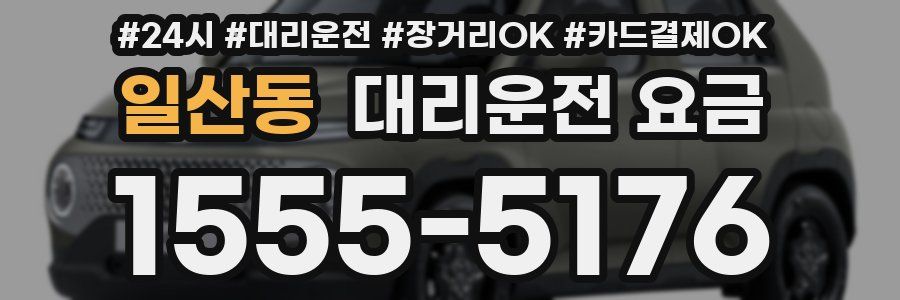일산동 대리운전 요금