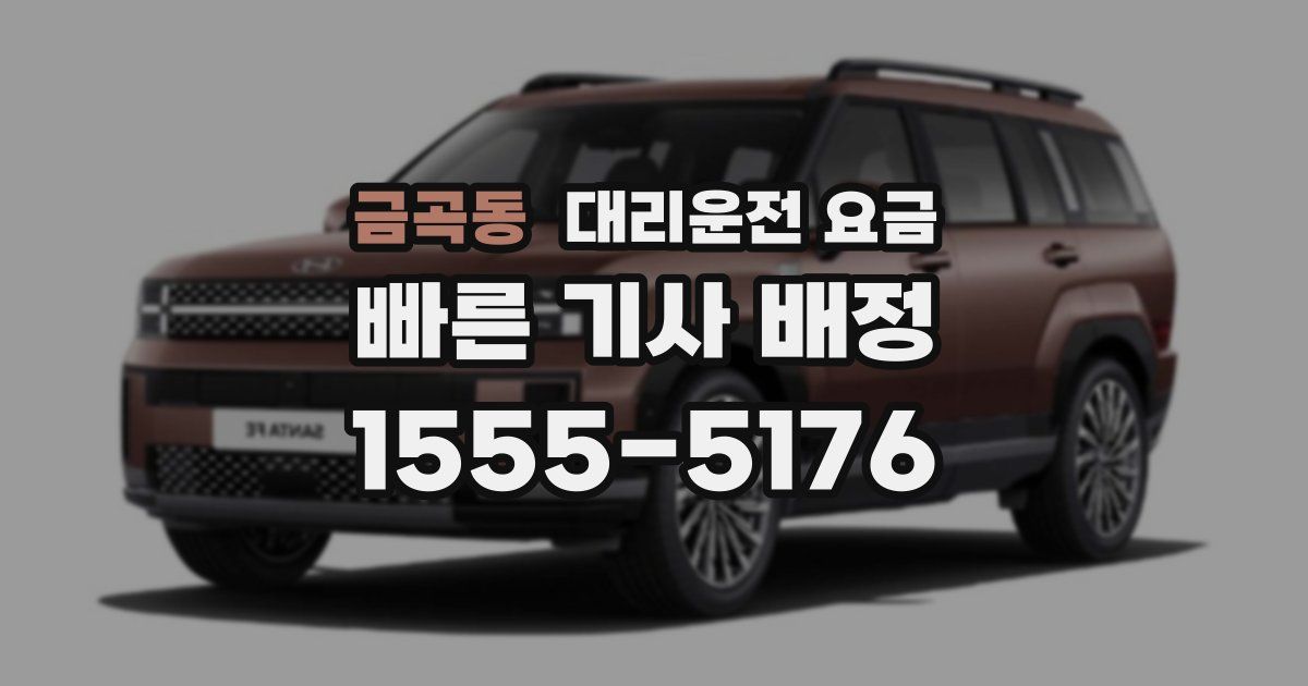 금곡동 대리운전 가격