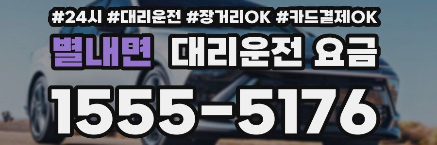 별내면 대리운전 요금