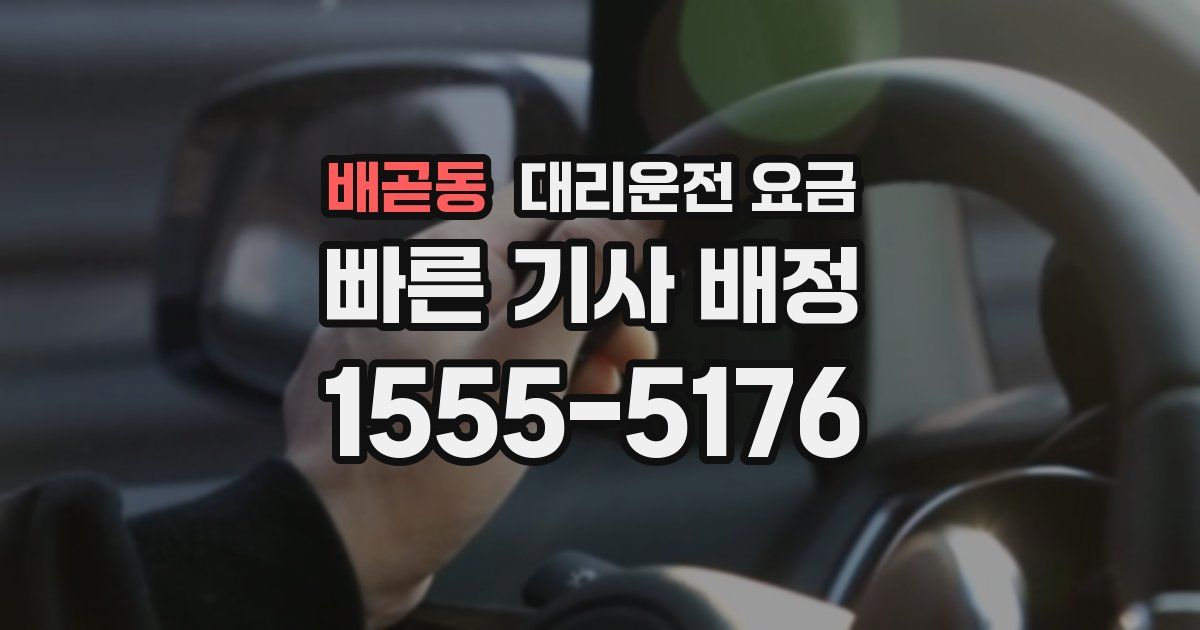 배곧동 대리운전 가격