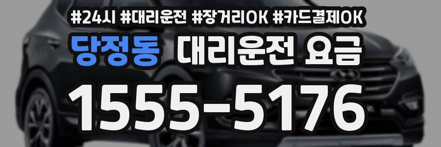 당정동 대리운전 요금