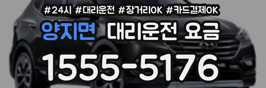 양지면 대리운전 요금
