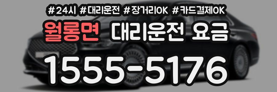 월롱면 대리운전 요금